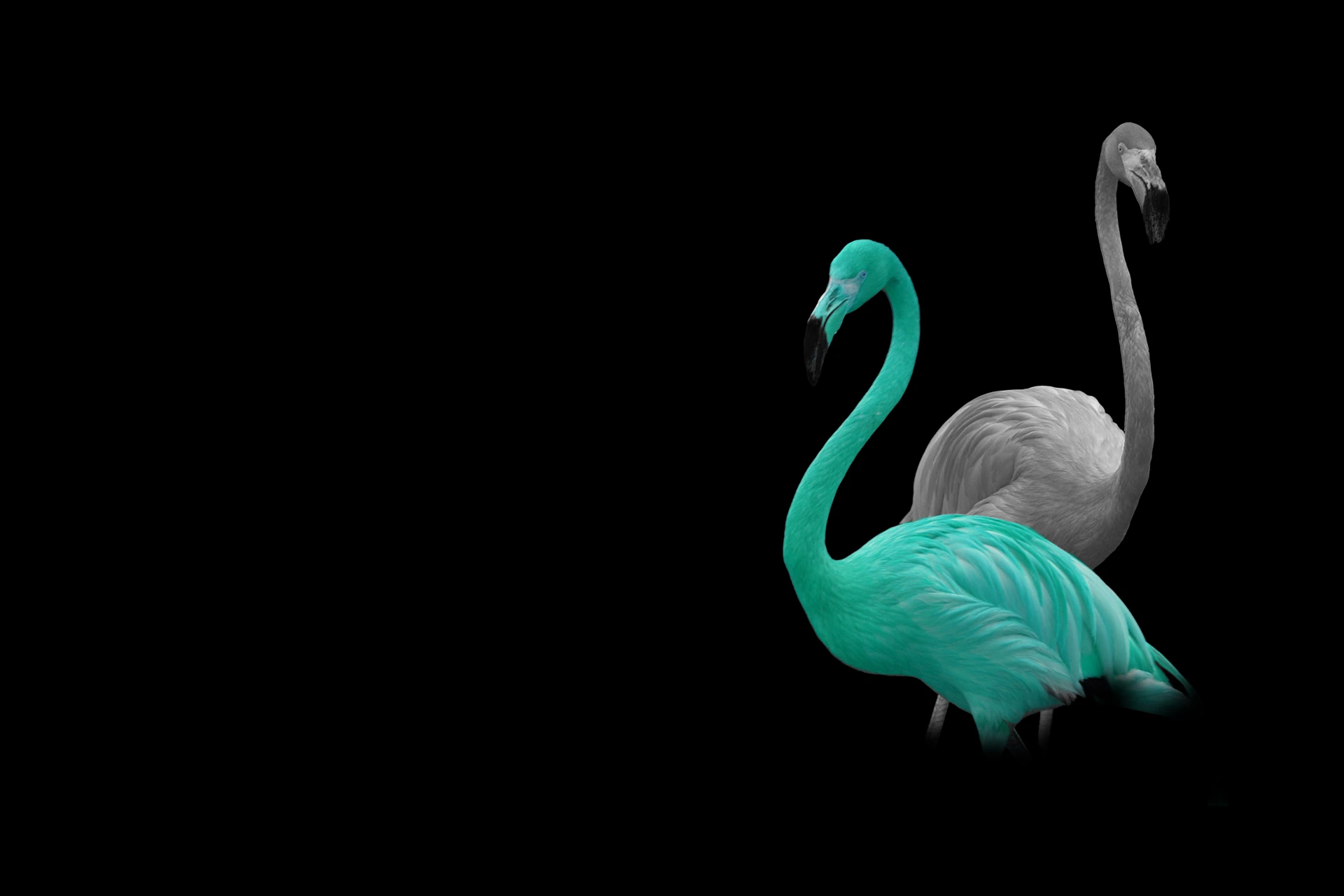 fondo home